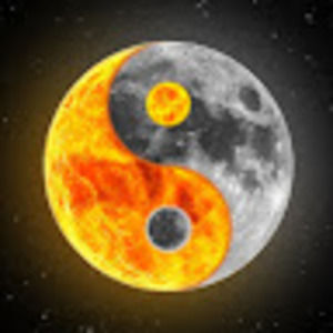 Meet your Posher, Vincent